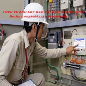BAO TRI 66